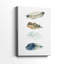 Collection Feather - Cavas enveloppés de galerie-1828670576