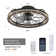 19'' Dimmable Caged Ceiling Fan with LED Lights