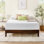 12" Plush Memory Foam Mattress - Sleep by Wayfair™
