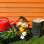 Garden Value Overlap Shed -37295775-121686731