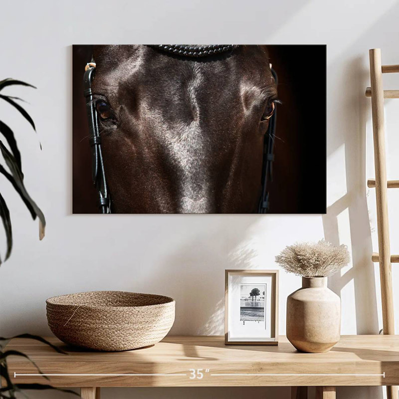 Brampt Horse Face, 24" H x 36" W