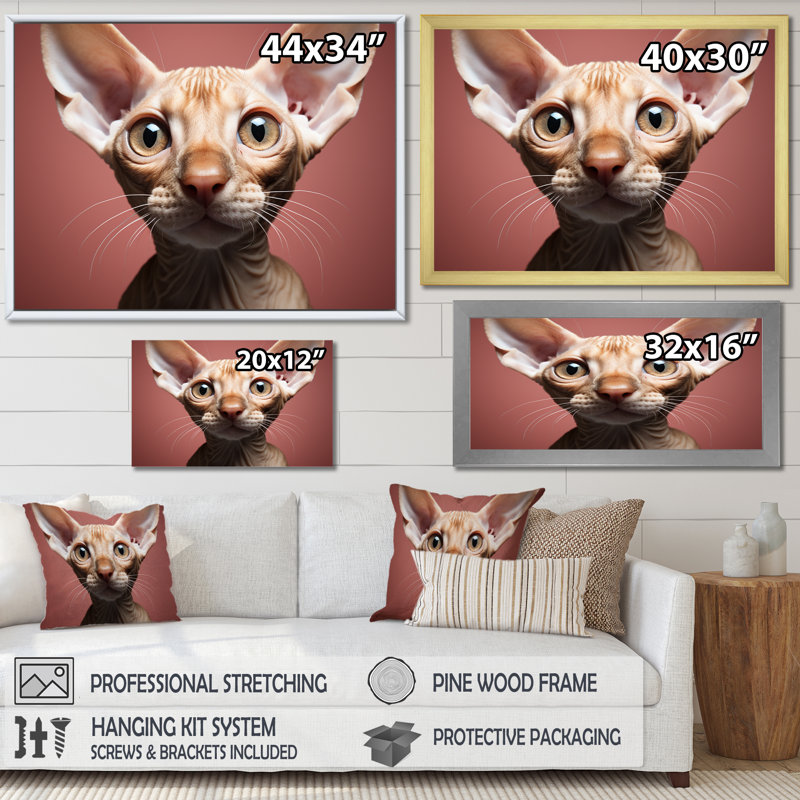«Peterful Playfulness Cat Portait», reproduction d'art sur toile, H 16 po x l 32 po x P 1 po, Cadre simple blanc
