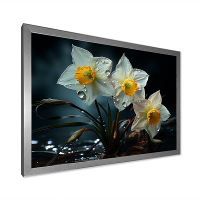 " Dewy Daffodils At Sunrise I "