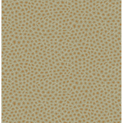 Ardmore Senzo Spot 33' L x 20.5" W Wallpaper Roll