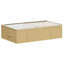 Rebrilliant Box-1709519967-1709520800