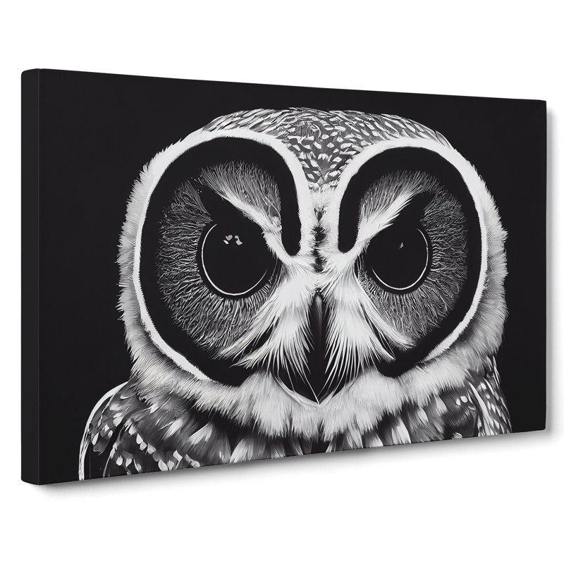 Timeless Owl - Wrapped Canvas, 40cm H x 60cm W x 3cm D