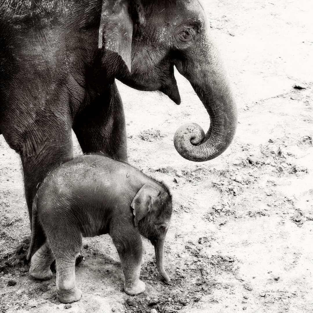 Leinwandbild Mother and Daughter von Debra Van Swearingen