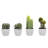 4 - Piece Artificial Succulent in Pot Set