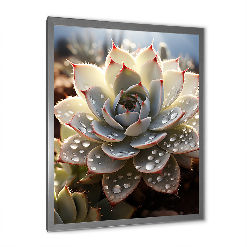 Cactus pêche - piqures de cactus, Cadre simple argenté, H 20 po x l 12 po x P 1 po