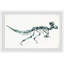«Brodhead», course encadrée «T-Rex squelette»-1294925022