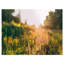 «Bloomy Glade of Wild Flowers», reproduction de photo sur toile tendue-19240339