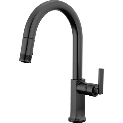 Kintsu® Pull-Down Faucet With Arc Spout