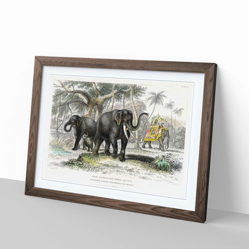 Asian Elephants by Oliver Goldsmith - Single Picture Frame Painting, Walnut, 45cm H x 63cm W x 2cm D