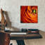 «Orange Flower Close Up» par Tom Quartermaine-499981869