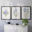 Toile encadrée de qualité lilas botanique - délicat prêt à accrocher-69983087-69983090
