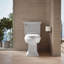 Rutledge® Quiet-Close with Grip-Tightelongated Toilet Seat-797514309-716250942