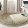 Desouza Hand Woven Jute Oriental Rug