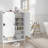 Accent Chests / Cabinets Accent Cabinet