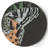 Metamorphosis 11" Melamine Dinner Plate