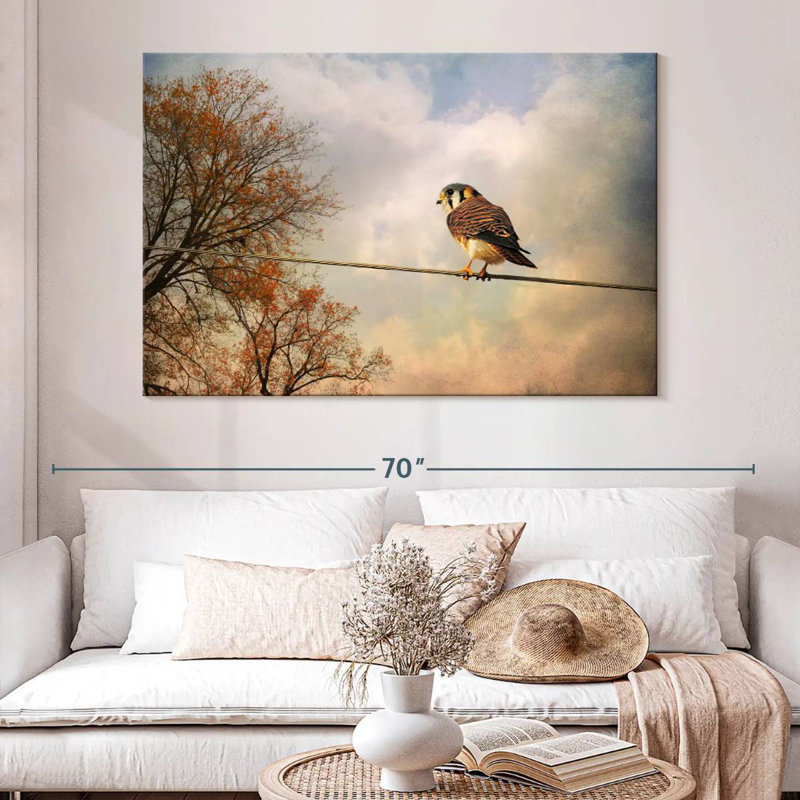 American Kestrel In Autumn, H 34 po x l 51 po