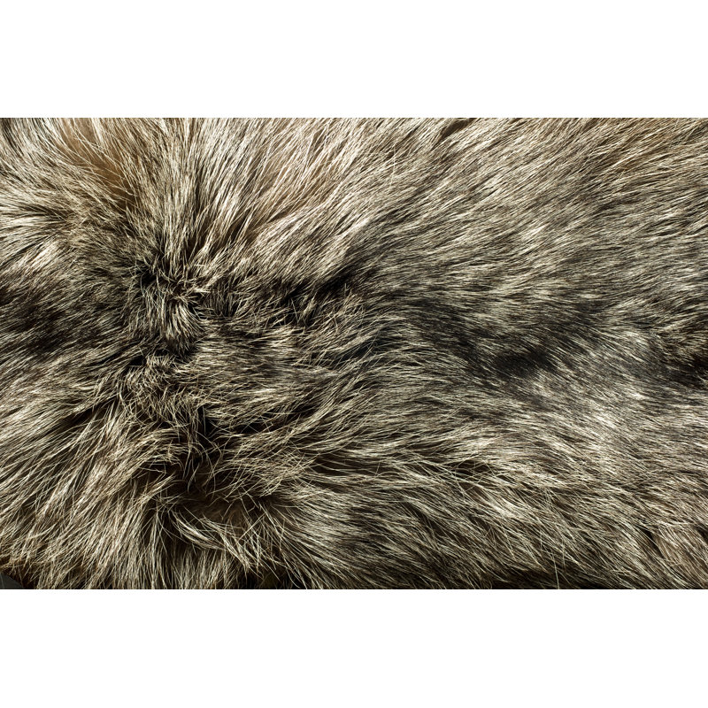 Closeup Of Beautiful Polar Fox Fur by Arsgera - Wrapped Canvas Print, 30cm H x 46cm W