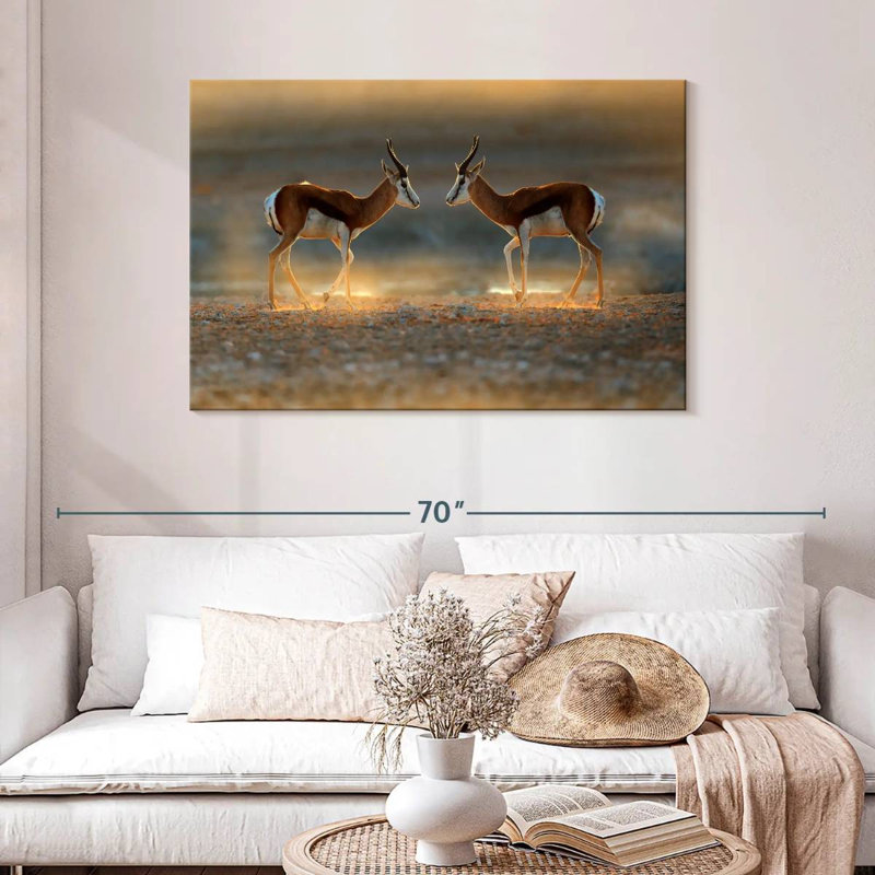 Brampt Springbok Antelopes, 30" H x 45" W
