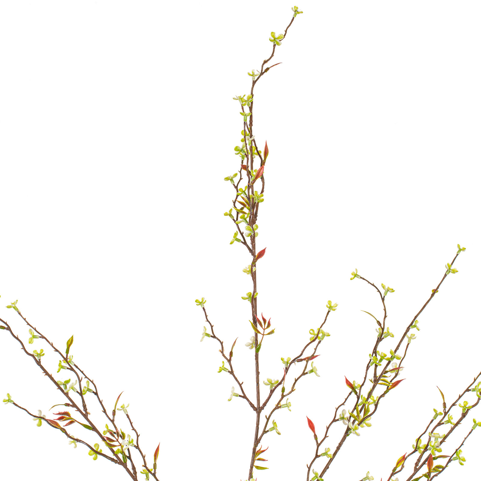 Wildflower Floral Stems, Green