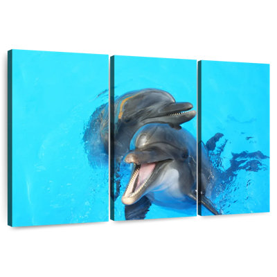 Happy Dolphins