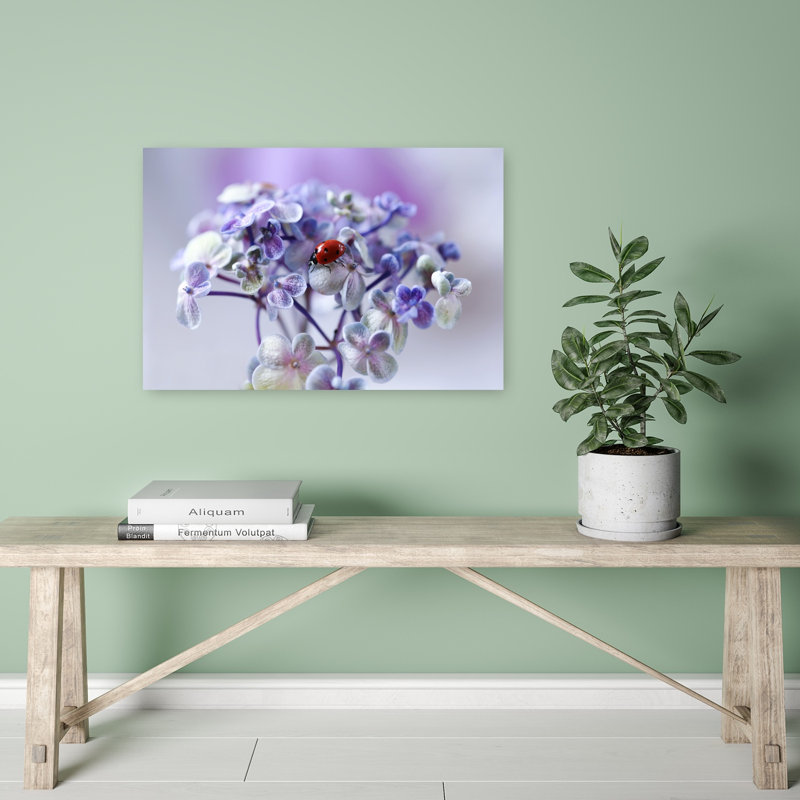 Ladybug On Purple Bloom Colorful Delicate Peaceful Ladybug Flower Nature Wall Art Print by Ellen van Deelen - 1 Piece Wrapped Canvas Wall Art