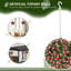 Anslem 28cm Faux Rose Plant in Freestanding-444001756