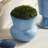 Delaney Pot Planter-109423759-109423762