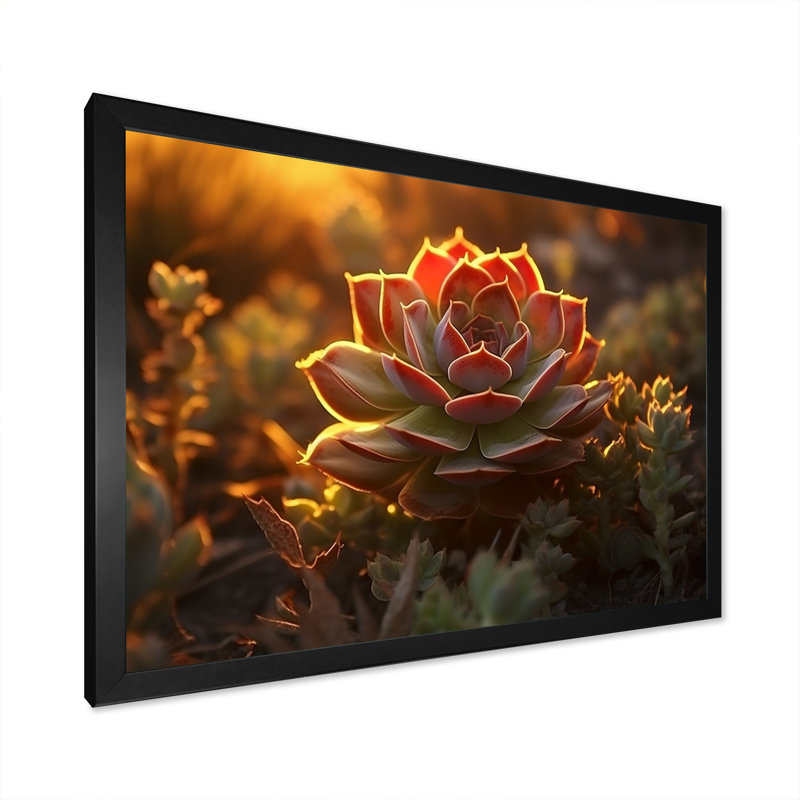 «Succulent Desert Cactus Field Burning Sunset II», reproduction sur toile, H 12 po x l 20 po x P 1 po, Cadre photo noir