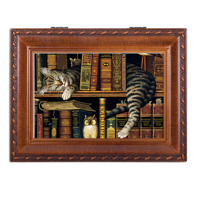 Chat dormant dans une boîte décorative de bibliothèque