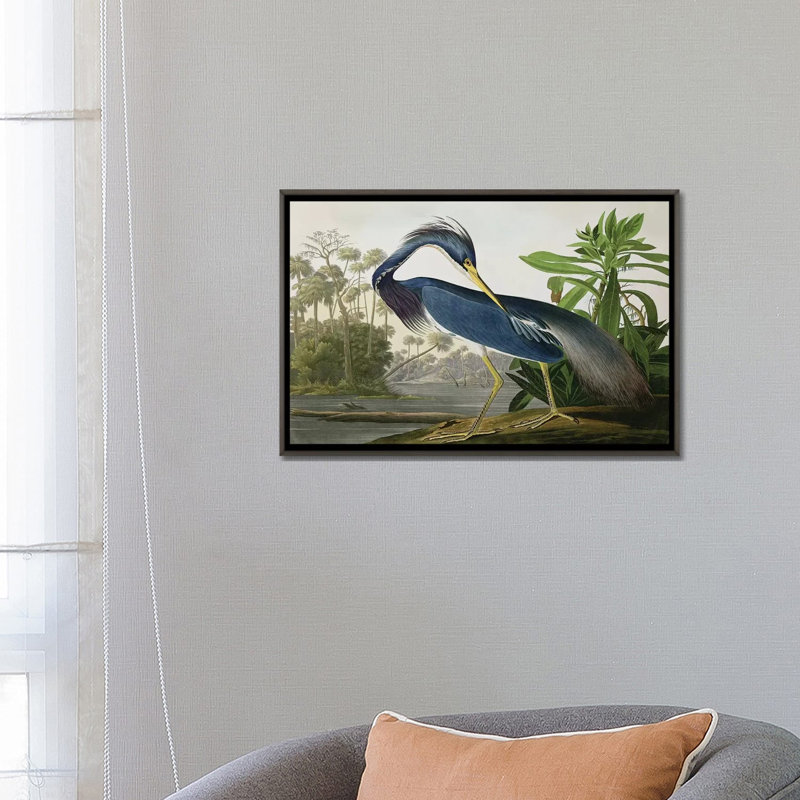 «Wick Louisiana Heron» par John James Audubon, reproduction sur toile, Impression encadrée, H 26 po x l 40 po, Noir