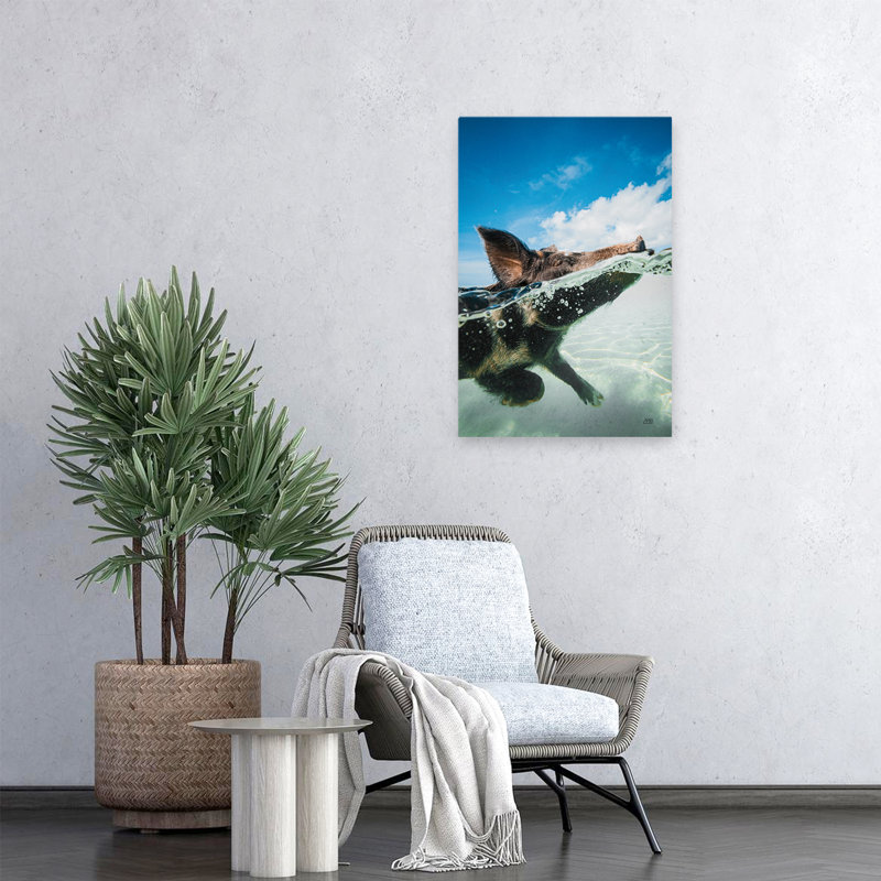 Swimming Pig - Animals Ocean Photography Pig Art, 24" H x 16" W