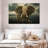 Brampt Male Elephant-107693475