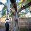 Balançoire d'arbre UFO Jumpking JKBK-UFO Backyard
