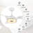 Amonii 56'' Ceiling Fan with LED Lights-311854955