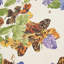 Pyne Butterfly Wallpaper