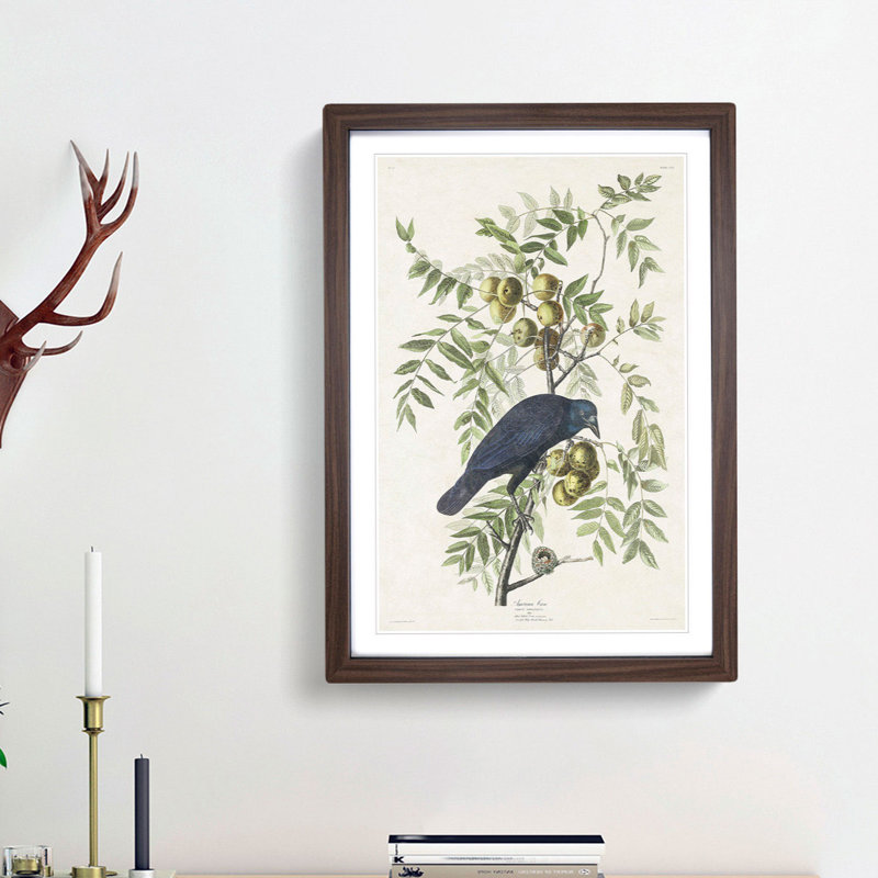 American Crow by John Audubon - Single Picture Frame Painting, 45cm H x 33cm W x 2cm D, Walnut Framed
