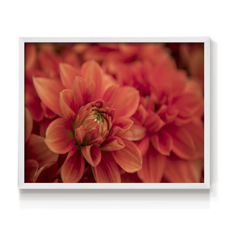 Spring Fire -Framed Print - Restickable, 11" H x 14" W, White