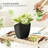 Plant Pots Indoor With Drainage - 7/6.6/6/5.3/4.8 Inches Flower Pots For Indoor Planter - 5 Pack Plastic Planters - Ideal For Stocking Stuffers Or Home Christmas Decorations-1413936358