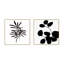Modern Botanical, Set Of 2 by Lee Lessem-88500179-88500178