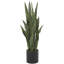 Feuillage artificiel floral et botanique Cole and Gray