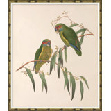 Love Birds Giclee Print by Susan Hable