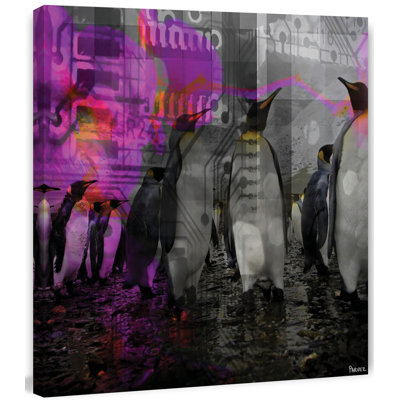 Parvez Taj - Wrapped Canvas Print
