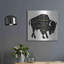 «Buffalo In Black» par Cindy Jacobs-668915602