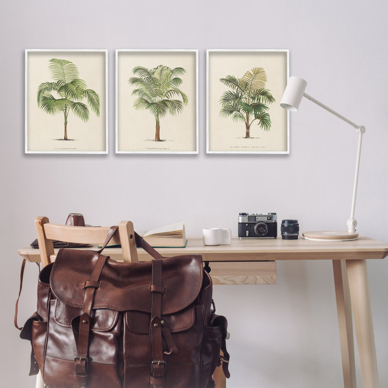White Framed Botanical Trio Canvas Print Set, 16" x 20"
