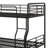 Bunk Bed With Trundle-561272640