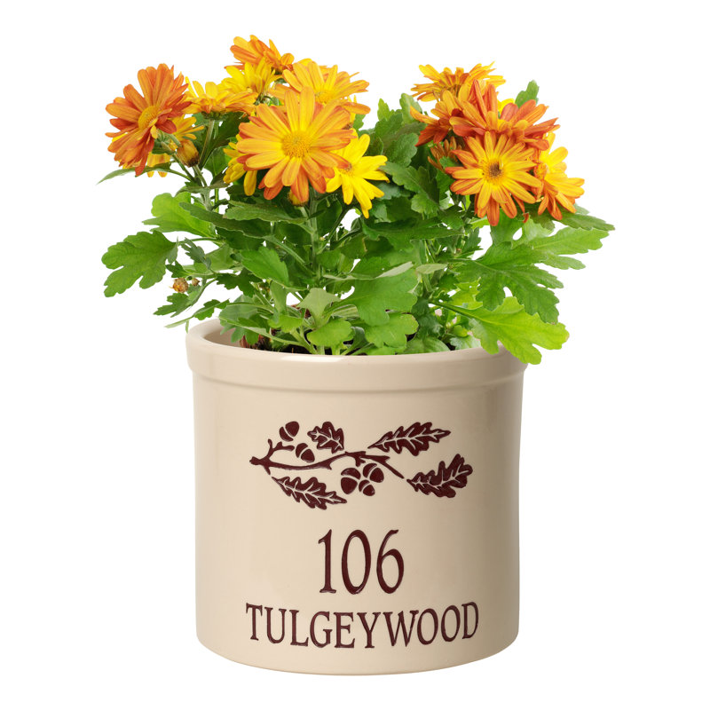 Woodmansee Pot Planter, Red, Yes